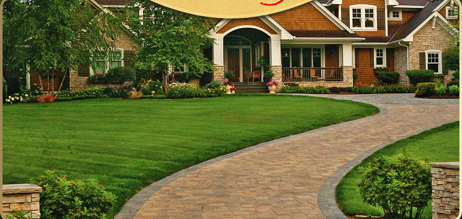 King Lawn & Landscapes